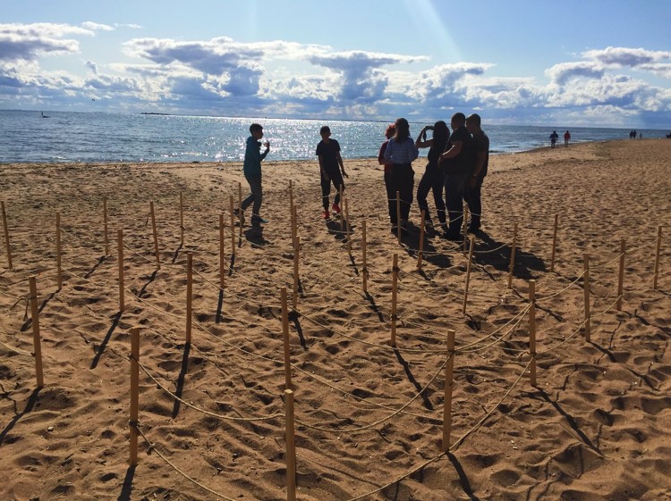 Несколько корпоративов на природе